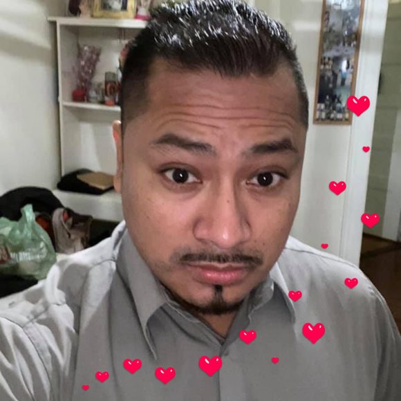 Meet your Posher, Delfino - Picture 1 of 1